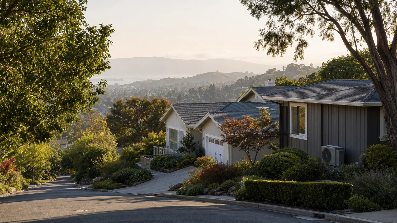 Tree-lined Peninsula residential street of tidy single-family homes on a Belmont hillside in warm morning light.